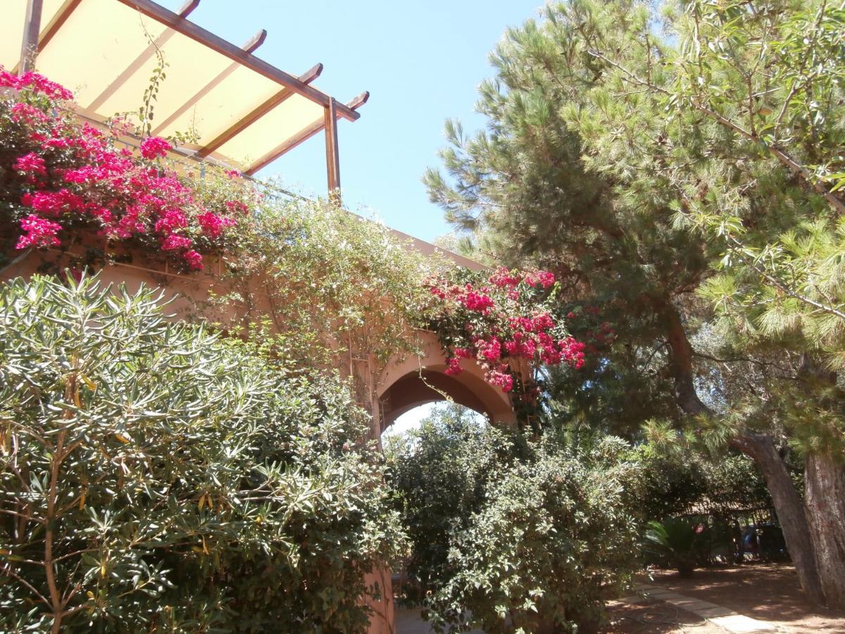 Glaros Home Kato Daratso Exterior foto