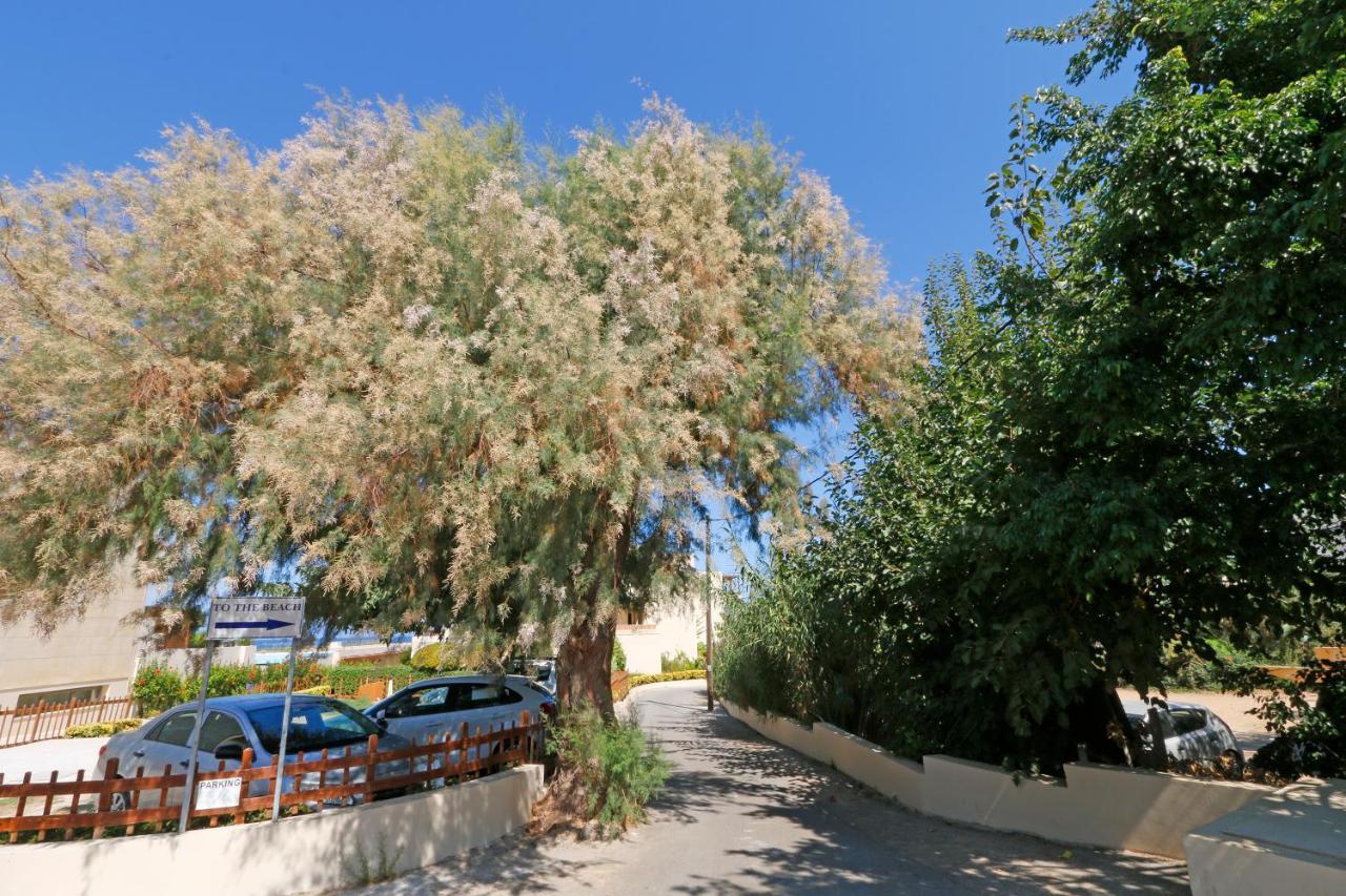 Glaros Home Kato Daratso Exterior foto